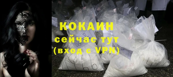 гидра Елизово