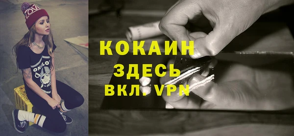 гидра Елизово