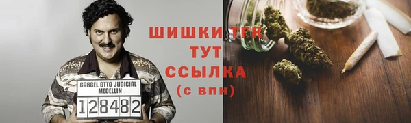 гидра Елизово