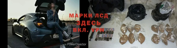 гидра Елизово