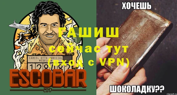 гидра Елизово