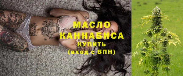 гидра Елизово
