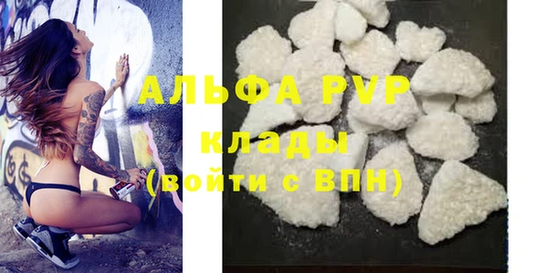 гидра Елизово