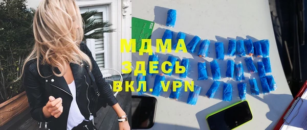 гидра Елизово