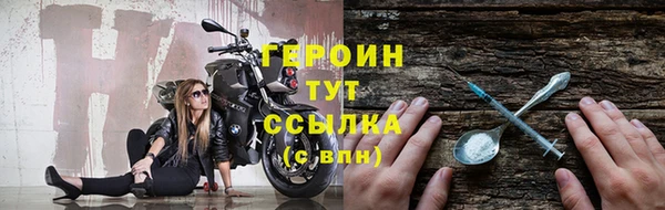 гидра Елизово