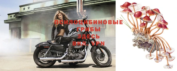 jwh Елабуга