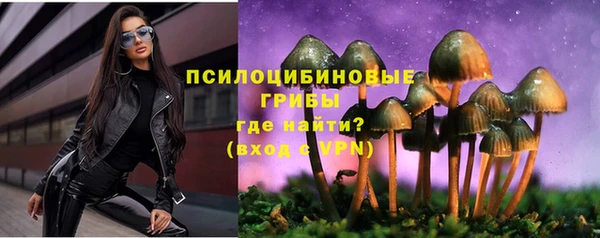 гидра Елизово