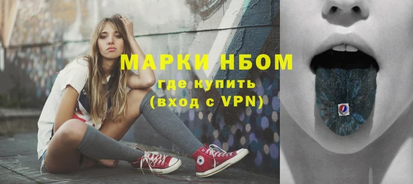 гидра Елизово