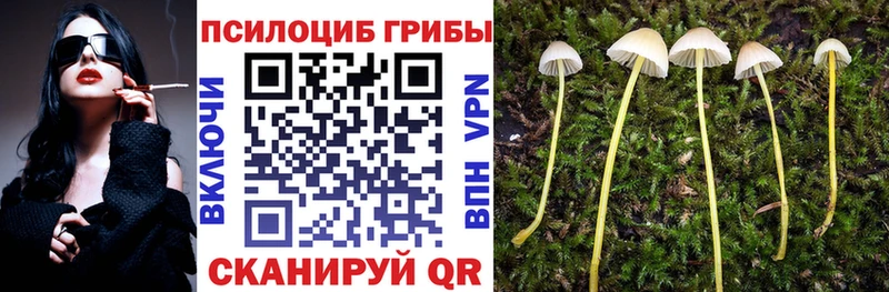 Псилоцибиновые грибы GOLDEN TEACHER  купить   Сухой Лог 